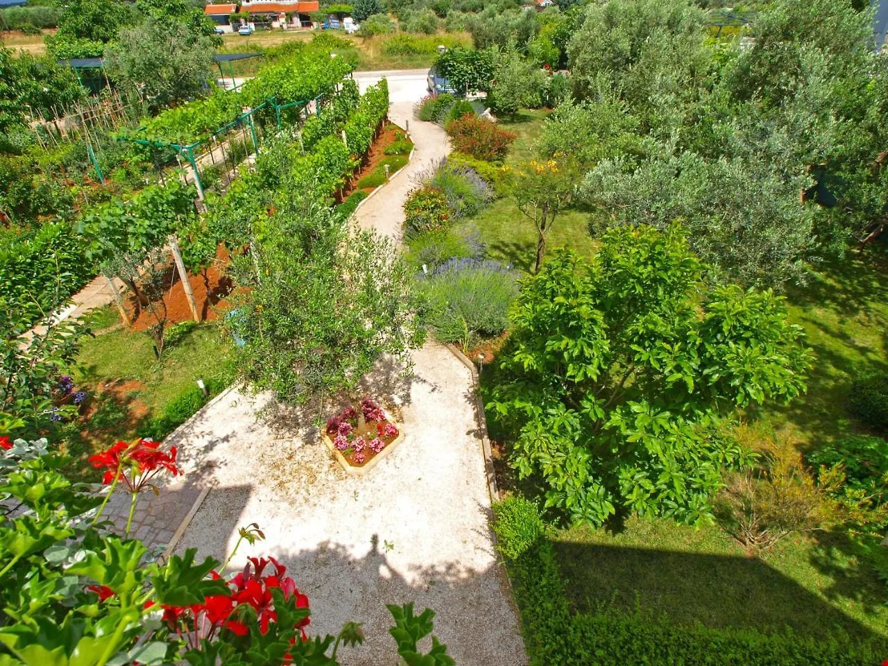 Apartments Fazanka 1002 Fazana Croatia